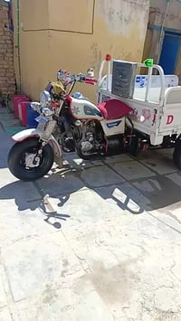 ستوته • دايوان 15 • اوراق اصولي