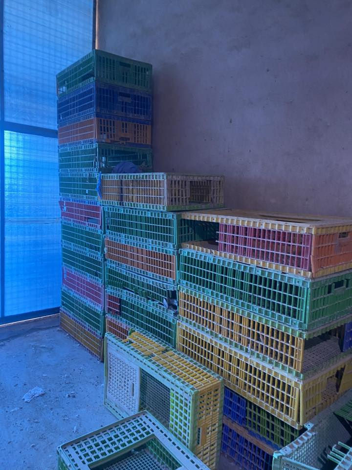 قفاص للبيع  نص عمر 
***********
