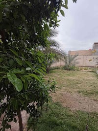 قطعه ارض المساحه الكليه ٣٠٠ اريد ابيع منها ١٥٠ مكانها مقابيل مرور الحس...