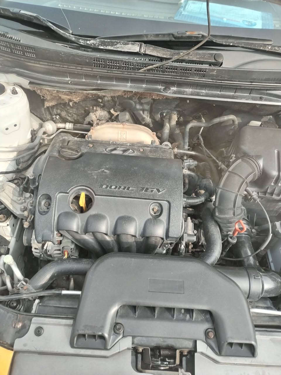 سلام عليكم سيارة انتره وارد خليجي رقم ميسان باسمي سنويه للفين اوتلاثين مديل 2009محرك الف او ستميه دكشن عالي سيارة جاهزه لااخير سعر 96 اوبيه مجال حك جيه ***********
