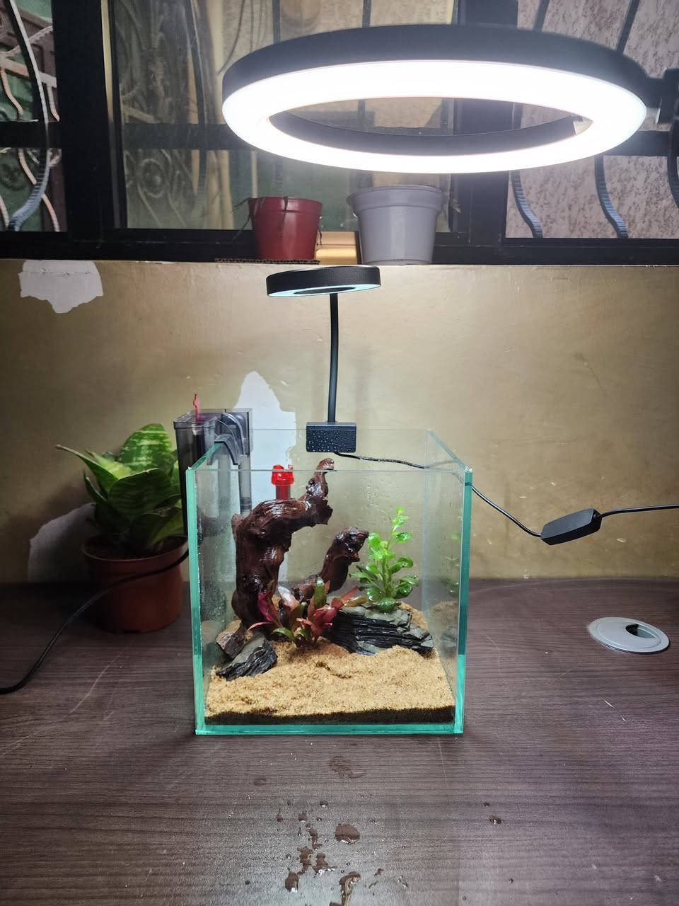 تجهيز طلب حوض  20×20×20
كامل الملحقات 🌿🐠

السعر ٤٠ الف ✅️
يوجد توصيل  لجميع المحافظات🚛


**إذا كنت صاحب هذا الإعلان وتريد حذفه لأي سبب، رجاءا أرسل رسالة إلى الدعم الفني**