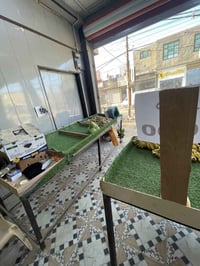 للبيع  ٤ ميوزه مال مخضر كاملات ومرتبات طول الواحد ٦ متر وطول الثاني ٥ ...