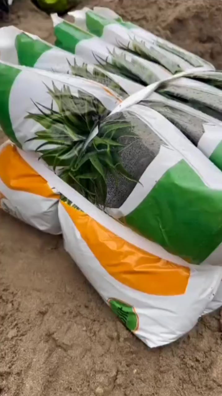 الهم صلِّ على محمد وآل محمد


**إذا كنت صاحب هذا الإعلان وتريد حذفه لأي سبب، رجاءا أرسل رسالة إلى الدعم الفني**