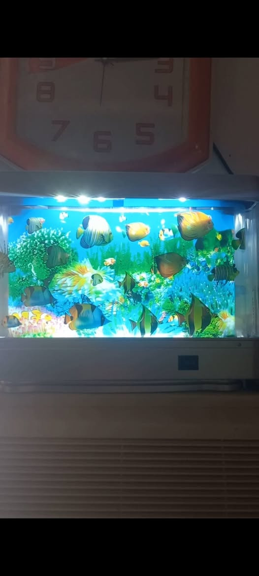 حوض سمك ديكور للبيع سعره 18 لف بيه مجاال
*********** *مكان كوت انوار الصدر
