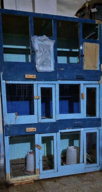 قفص للبيع 3 خانات سعر 60 07511571352. وتساب