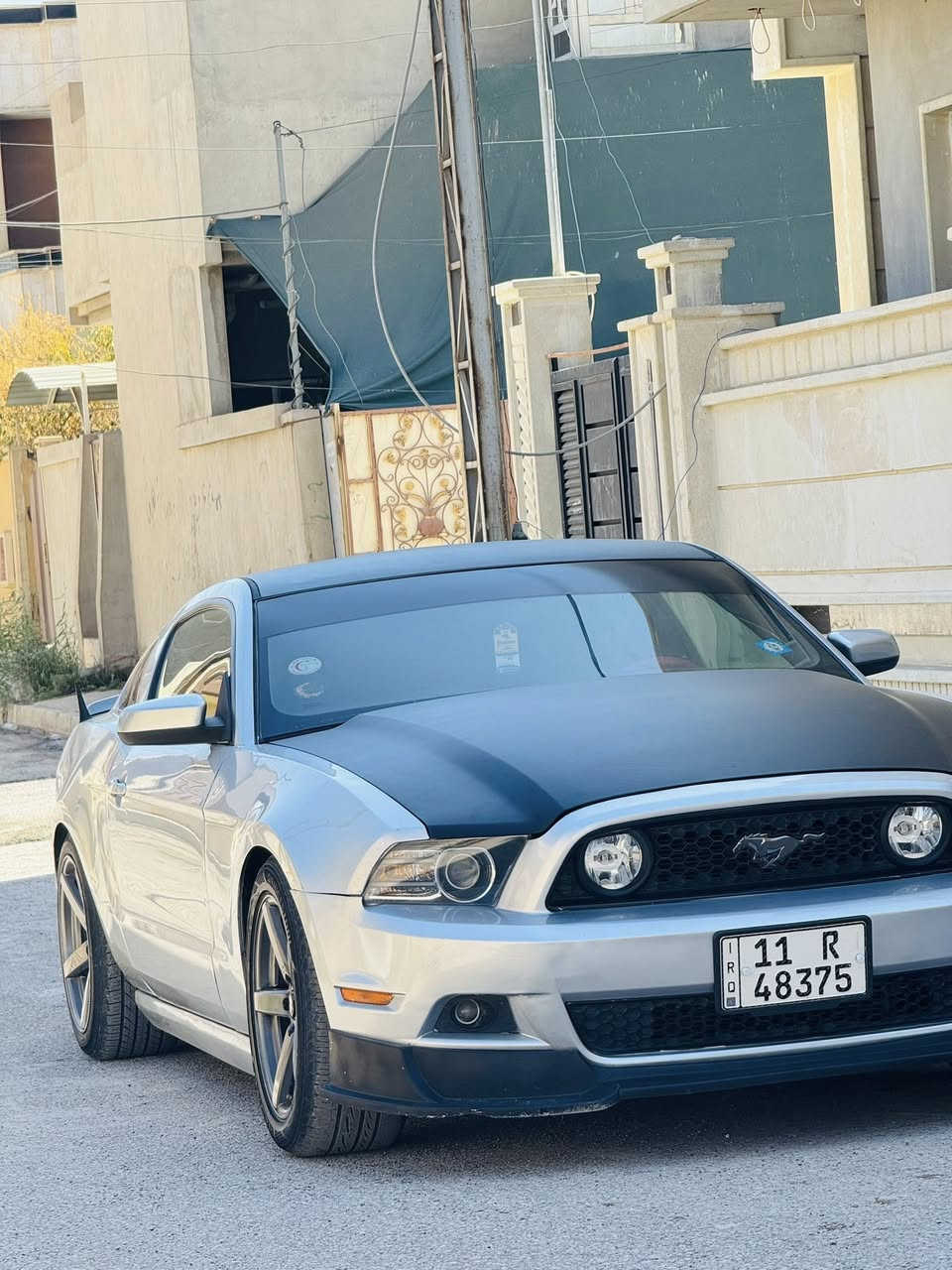 موستنك موديل 2014
مكينه كير بلادي ع رضع الشركه 
سياره نضيفه بدون نقص 
رقم مصطره هزه جديده بسمي تحويل ثاني يوم
سياره احلا من الصور تبريد تدفيه كهربايات كلو ع وضع الشركه مكاني موصل
سعر115مجال قليل 
للستفسار ***********
