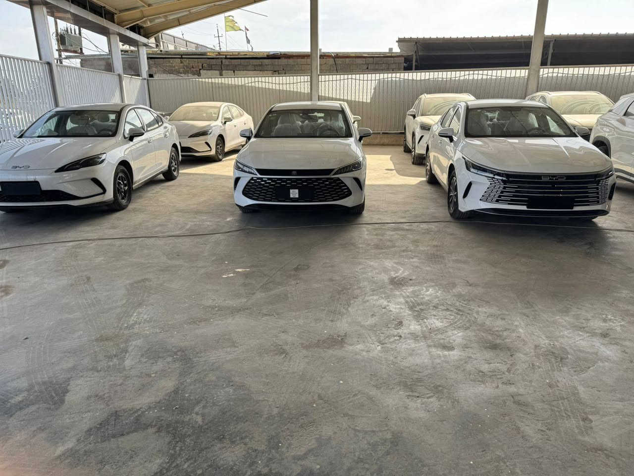 عروض اليوم على جميع انواع byd مباشر من الصين 🇨🇳 الى العراق من قلب مخازننا
البيع جمله ومفرد 
الاسعار تنافسيه اتصل وتدلل انسب الاسعار على السعر القديم 

🔴بي واي دي دسترويرBYD موديل 2025 نار 🔥 
🔴بي واي دي كن بلاص BYD موديل 2025 🔥 
🔴بي واي دي سيل BYD موديل 2025 🔥
بي واي دي 2025 سونك L فول الفول
بي واي دي 2025 سونك بلاص فول الفول 
الاسعار جدا مناسبه
جميع انواع السيارات تحتوي على كافة ملحقاتها كاعيات اصليه وكارت وشاحن اصلي 
        زورونا واهلا وسهلا بكم
يتوفر كافة انواع byd😍
               
للاستفساراكثر اتصل على الأرقام التالية
🥰🥰🥰🥰☎️☎️☎️☎️
***********  ابو زياد
***********   عمر
📍الموقع بغداد اليوسفية الطريق السريع الدولي
(((شركة ديار الكرم)) maps/waze 📍#BYD #bydبغداد #العراقيين
#BYDIraq
#متابعة
#BYD#. #بغداد
