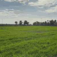 🌿 أرض زراعية للبيع 🌿  المساحة: دونم ونصف  الطابو: زراعي، سند 25  الخدم...