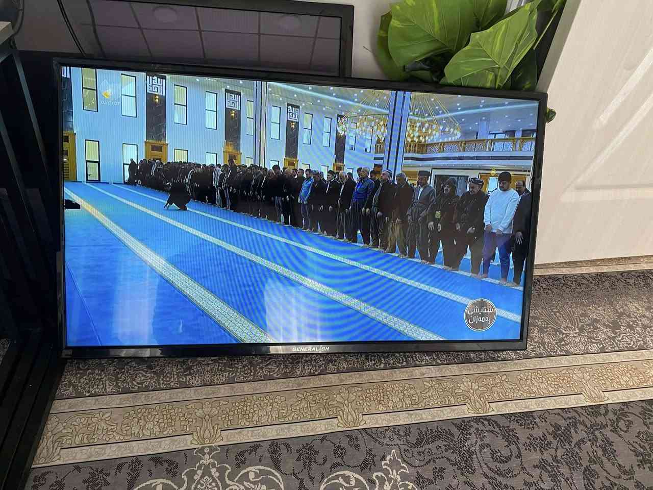 تيفي شاشة 40 ماركةي GENERAL BH وةجبةي 1 زور باك و بي عةيبة بة زةمان بو نرخ نامة بنيرن يان تيل بكةن ***********
