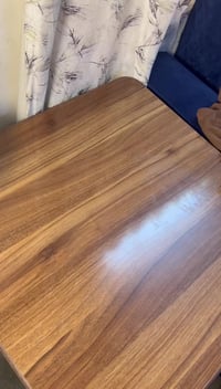 تراكسودات شتوية • جملة