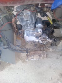 مكينة جديدة • لحيم بالركبة • القرنه بني منصور