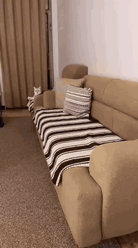 تخم للبيع خشب عراقي تصميم تركي مع طابورية قبل شهر ماخذي جديد مابي اي عيب 8 مقاعد سعرة 600 وبي مجال بسيط


**إذا كنت صاحب هذا الإعلان وتريد حذفه لأي سبب، رجاءا أرسل رسالة إلى الدعم الفني**