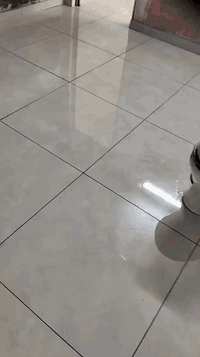 ابو مريم المصري خلف سيراميك مقيم في بغداد بورسلين وكاشي وجدران ومرمر كل شيء متفرغا***********
