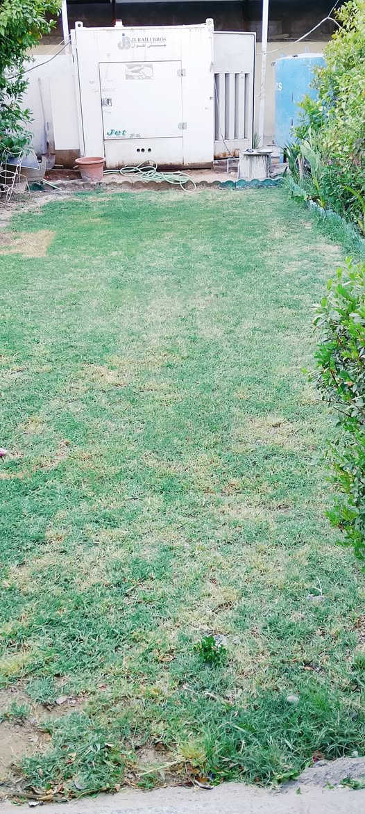 سلام عليكم فلاح حدايق واعمال منزليه تنظيف الصطح تنظيف مناور البيت تنظيف سيراميك المطبخ الي قريب على الطباخ وتنظيف وتعزيل المخزن تنظيف المراوح السقفيه وب السعر الي انتي اتگولينه اشتغلج كل شيء عندج با البيت هذا رقمي *********** يتوفر واتساب على هذا رقمي أو بييج خير وداللي ابو صلاح
