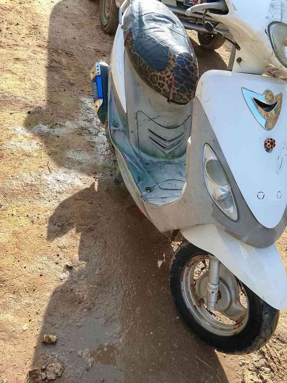 السلام عليكم منغولي للبيع الدرجه مفتوحه بوشه 55 سعر 425 وبيه مجال الشراي مكان كربلاء  طوريج الرجيبه الرقم ***********
