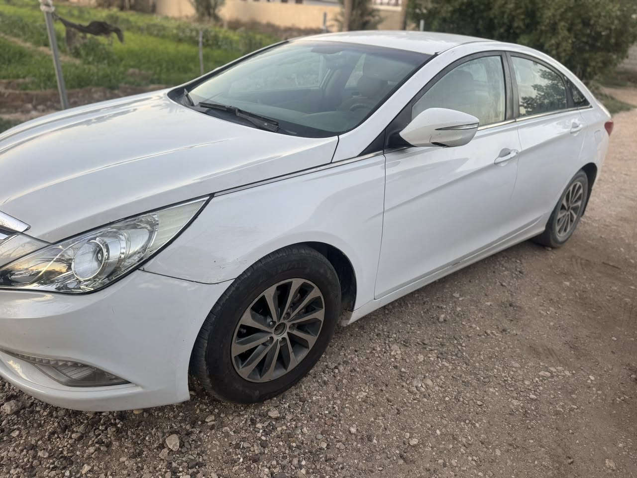 سوناتا خليجي ٢٠١٤ 
قطعتين صبغ بيه وبارد في جاملغ الخلفي 
رقم اربيل نافذ 
تحويل 
مكان السياره بابل كير ومحرك بحاله جيده 
وتبريد كلشي جاهز 
١١٠ بيه مجال 
***********
