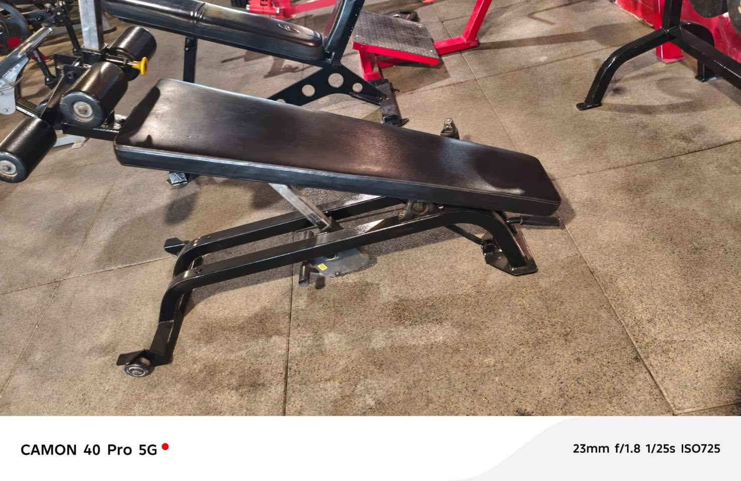 قاعه كامله للبيع او مراوس سياره مابيها اي نقص العنوان بغداد ***********
1.بنج همر اعلى
٢. بنج همر اسفل
٣. بنج جهاز مستوي جالس
٤. بنج جهاز اعلى
٥. جمع جهاز اعلى
٦. جمع فراشه
٧. سحب همر من الأعلى
٨. سحب همر متكأ الصدر
٩.سحب همر من الاسفل
١٠.سحب T حر
١١. سحب تي  متكأ الصدر
١٢. باك ارج
١٣.عقله مع مساعد وبرليل
١٤. ضغط جهاز اكتاف
١٥. شراكس هز اكتاف
١٦. سحب بكره ارضي
١٧.سحب بكره جالس أمامي خلفي
١٨. بكره متقابل
١٩. كيل لاري
٢٠َ. كيل همر مائل
٢١.كولف جالس
٢٢. كولف مائل
٢٣. هاك باك
٢٤.دفع ماكنه
٢٥. كيل سيقان خلفي جالس
٢٦. كيل سيقان خلفي نائم
٢٧. كيل سيقان أمامي
٢٨. قاعده دبني
٢٩. نشر جهاز أكتاف للجانب
٣٠.سمث
٣١. شفتات سيت عدل وz
٣٢. لف جذع
٣٣. جهاز معده
٣٤َ.ساعد
٣٥.مصاطب بنج سيت عدد ٣
٣٦. مصاطب متحركه عدد ٧
٣٧.شفتات صغار عدد ٢
٣٨ شفتات كبار عدد٤
٣٩. سيت دمبلص مع حماله
٤٠. أقراص
