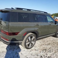 سنتافي • ٢٠٢٤ • المنطقة الحرة