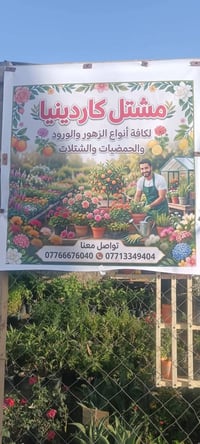 مشتل كاردينيا • طريق اولاد مسلم • أشجار مثمرة