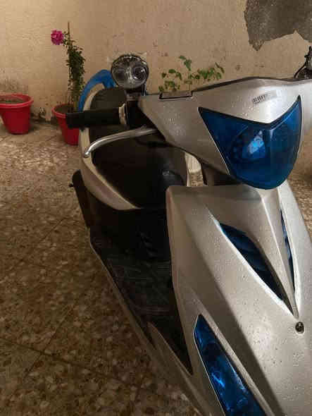 ماكس ثعلب مكفول ما مفتوح برغي كهربائيات كلها شغاله الوراق ضايعه واكفلك عشائريا السعر 550 وبيها مجال حك الجيه *********** مكاني ميسان قضاء كميت
