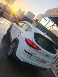 ٢٠٢٠ • قطعتين صبغ • رقم أربيل