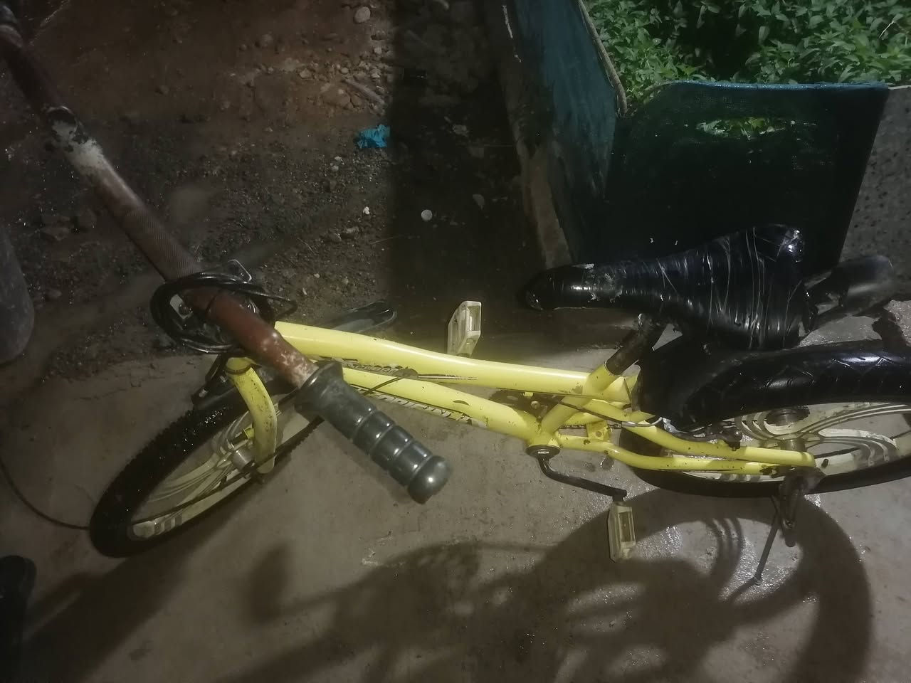باسكلات للبيع بي ام x سعر30 بي مجال ال رياضي35 بي مجال ال
تفاصيل خا ص


**إذا كنت صاحب هذا الإعلان وتريد حذفه لأي سبب، رجاءا أرسل رسالة إلى الدعم الفني**
