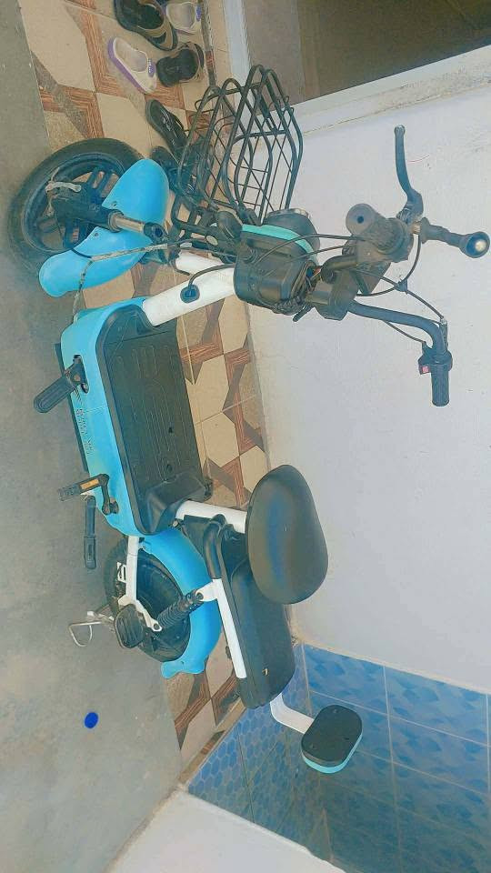 ۲٥۰ هەزار پاسکیل شەحن شوختو شکاوی نیە تایەی تازەیە پاتری بیلادیە بەشەرت هەموو گیانی بەشەرت ۲٥۰هەزارو معامەلەیە برایانە۰۷٥۱٤۷٤٨۱٦٨ أربيل, العراق


**إذا كنت صاحب هذا الإعلان وتريد حذفه لأي سبب، رجاءا أرسل رسالة إلى الدعم الفني**