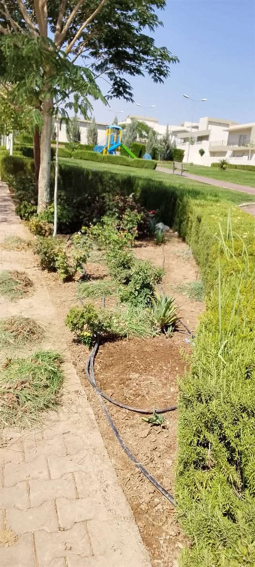 السلام عليكم اصدقائي اني اشتغل حدائق تنظيف تقليم الي يحتاج في كل اماكن كركوك اني حاضر او شغل درجة اولى ***********
