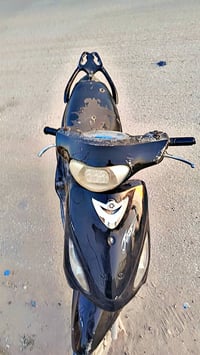 ماكس منغولي • بوشة ٥٥ • نضافة ٩٠٪
