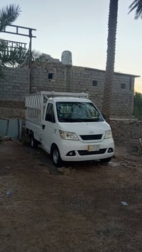 شيري حمل • ٢٠١١ • يحتاج تبريد