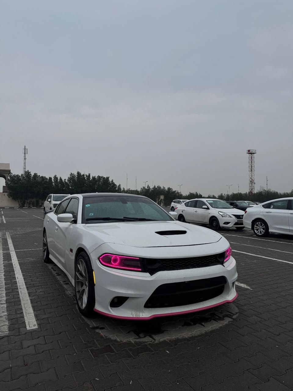 جارجر ارتي ٥٧٠٠ موديل ٢٠١٦ الحادث موضح بالصورة والباب العكس السائق مبدل جاهزه للاخير وبيها بارد مابيها اي نقص سنوية جديدة لل٢٩ هزة جديدة  شرط التحويل رقم قادسية 
السعر 180 مكان السيارة البصرة ***********
