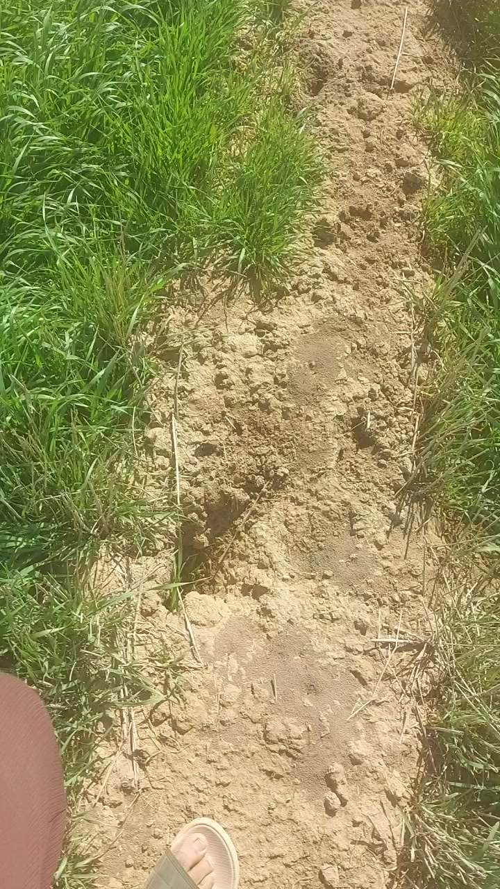 السلام عليكم (25دونم چاير للبيع)
الشراي يتصل ***********
