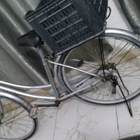 07853513567 محمداوي  سعره 60 الف دينار