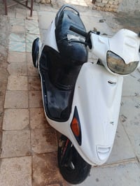 فراشة • فحل