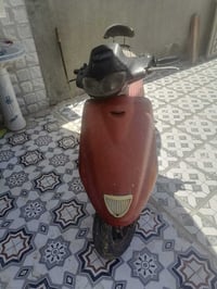 فراشة • جاهزة • الرميثة