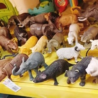 شلايش • اغلبها