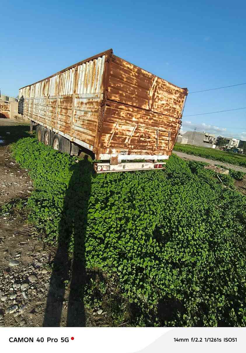 بودي للبيع تخم تاير بالون السعر ٦٠ المكان طوز خرماتو ***********
