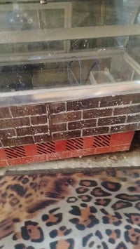 براد عرضي • شغاله • ابو خستاوي