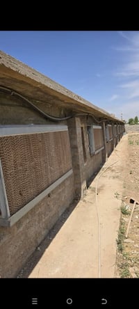 سستم دواجن كامل • صحراوي ١٢ • شباك بلاستك ١٢