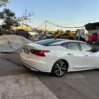 ماكسيما • ٢٠١٧ • اربيل