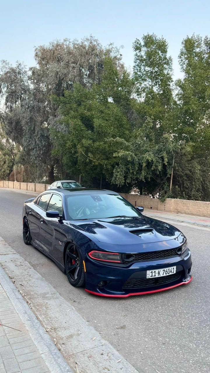 اصل SRT 6400🚀 بيع او مراوس 
2015
حادثهه فقط خشم البنيد 
بدون دواخل شواصي لغود كفاله 
🩵مواصفات🩵
اعلى مواصفات بSRT 
فتحه سقف
رادار امامي+جانبي 
كشنات حضن هيلكات
عينه حمره هيلكات
فجوج برمبو هيلكات 
اكسل قفل هيلكات 
ويل كب نجمه خسفه قويه 
شاشه كبيره +كامره دواره 
كشنات كهرباء +ستيرن كهرباء 
خزن ميموري +حساسات خلفيه بلكات ولف حماوه ريسنك 
كاج كان +شوته afe 
برمجه مصطفى ايكل 
دبات سود كت أوف +طلقات 🔥
كير مكينه كفاله 
رقم بغداد ب اسمي تحويل ثاني يوم
*********** بعقوبة, ديالى
