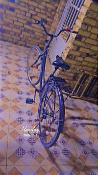 باسكل • نضيف • حجم 26