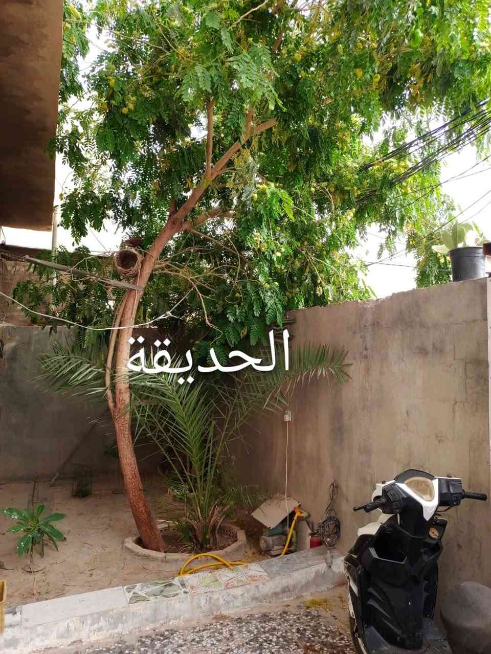 ‏يا الله بيت للبيع ‏الزراعي ‏نجف حي ميسان

‏قروب سكله الكرعاوي وقرب شارع 60 المساحة 200 متر

‏ركن. ثلاثة غرف نوم  صالة    مطبخ    استقبال

‏صحيات. داخلية وخارجيةطارمه. حديقة

‏السعر  75   مليون. وبي مجال
"""""""""""""""""""""""""""""""""""""""""""""""""""
         ‏مكتب أبو حوراء الحسناوي للعقار

‏الاتصال.  ***********و ***********

￼.  عنوان المكتب نجف حي ميسان مقابل السوق الأخير

‏عندك عرصة أو بيت للبيع اتصل
