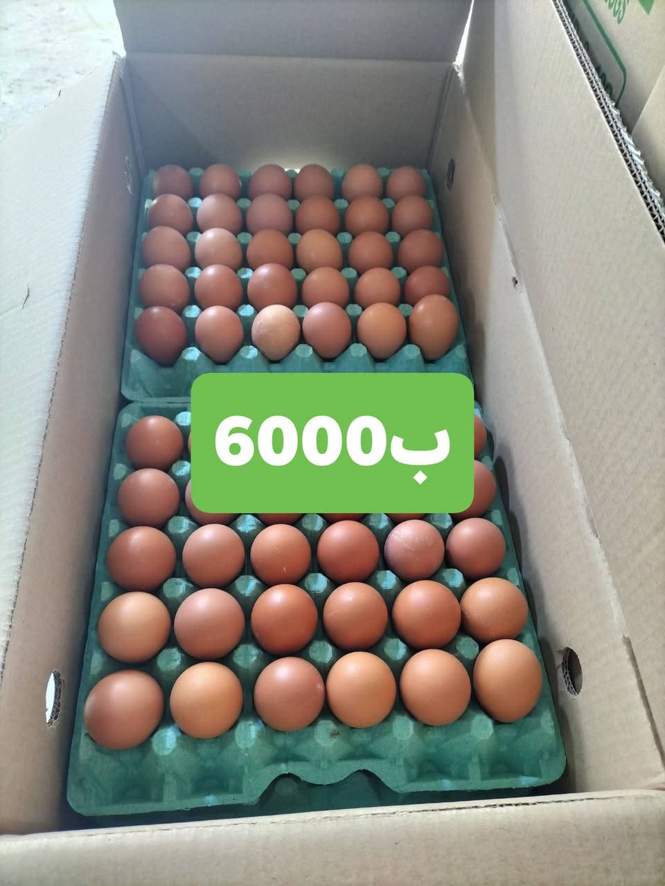 صباح الخير ليوم البيض ب6000 شركة الصراف يوجد خدمة توصيل 🚚 ***********
