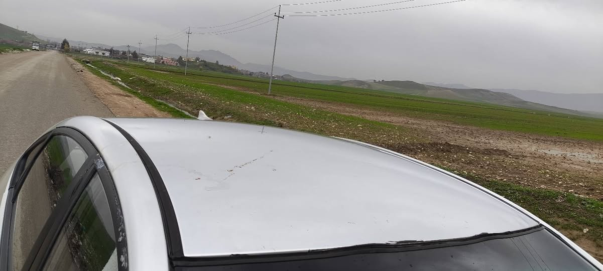 ٢٠٠٩ بڕاوە جڵدوو هیته ر سوکان فۆڵۆم سێ گێچ تازە پێشوو پشتی داگیراوە بیلاد تەجیل بلوتوس  بەگڵایت لیزه ری سەقف بۆیاخ و گه فه ر گۆڕاو بەشەرت
سەقفی  شوختی هه یه  زۆر نییه
دەعمو لێدراو گێڕوومه کینه ی به شه رت
شوێن شارەزوور زەڕایەن
نرخی ٤٥ گڵاو یەک مه جالی زۆر زۆر که می برایانه
***********
*********** دار بنديهكان, السليمانية
