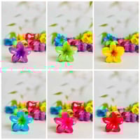 قراصة شعر • تصميم وردة • شي إن