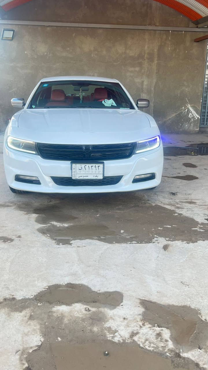 جاجر بوليسي 2018 أصل للبيع فقط 
الحادث بنيد مبدل فقط 
گير مكينه حداده تخم تاير تبريد جاهزه
رقم بغداد بسمي تحويل ثاني يوم 
شاشه وسط
حساسات خلفيه 
كامره دواره 
السعر 177 وبيها مجال 
للاستفسار الاتصال 
***********
