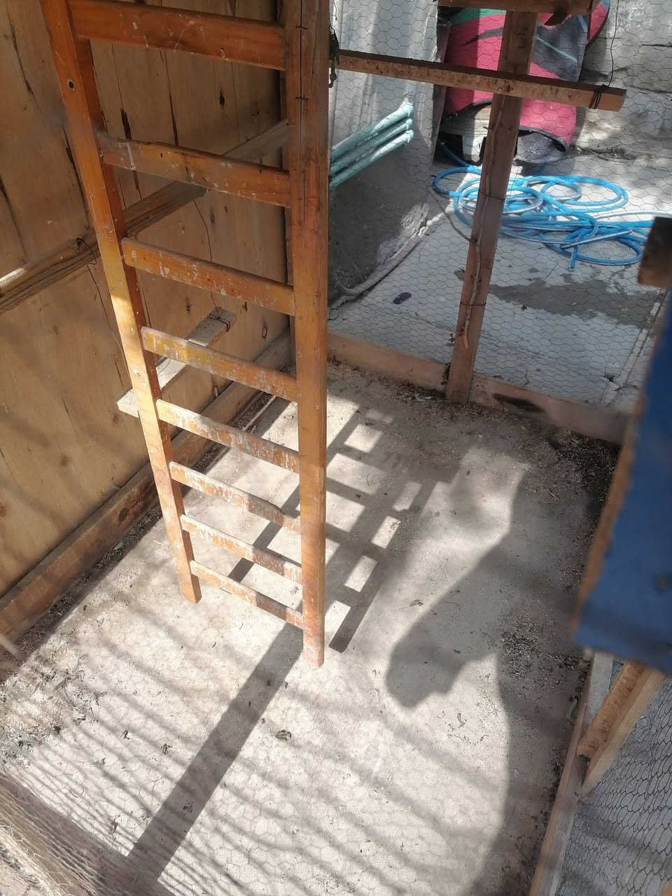 قفص شغل ايد فول ترتيب وثبات للبيع صويره حي الزهراء للتواصل ***********
