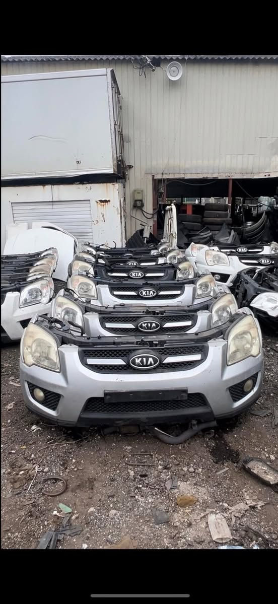 *********** 
*********** 
محلات سجاد العراقي
