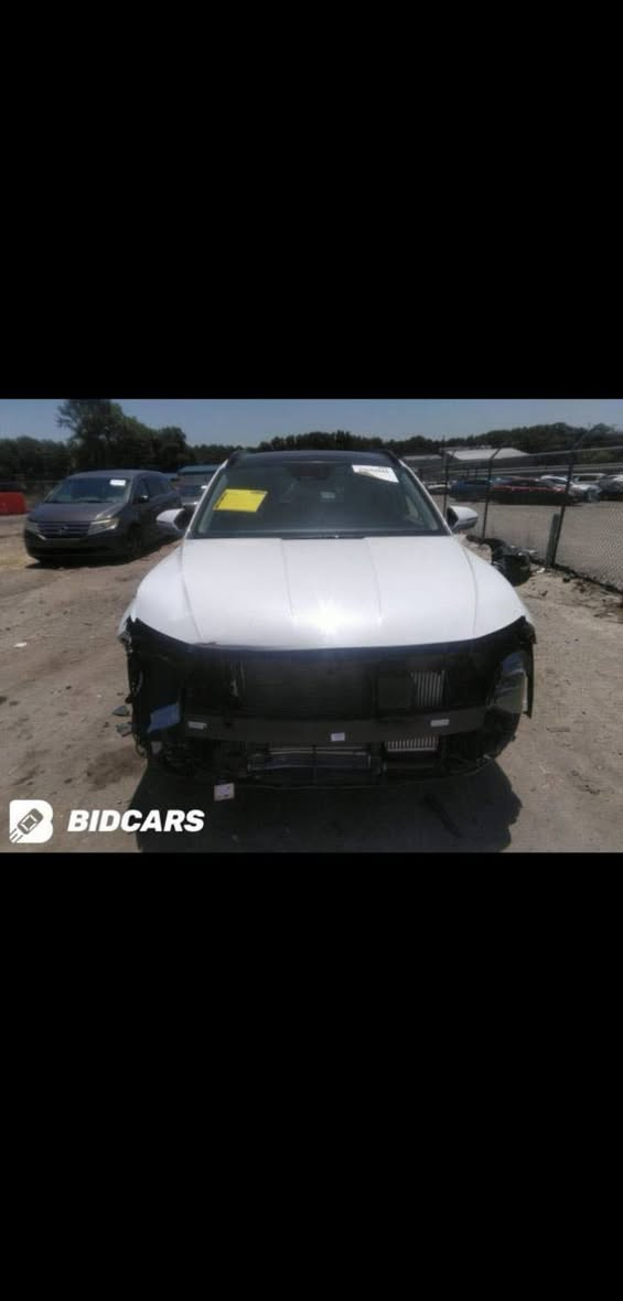 فو الفول مديل 23 هايبرد سعر 225
بغدادــــــــــــــــــ الرصافه ***********
